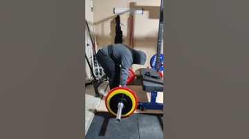 Pendlay Rows, 275lbs x 3