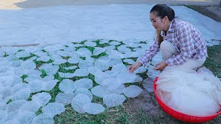 How to make Rice Paper then Fried Spring Roll and eat rice paper with Special Chili Salt recipe