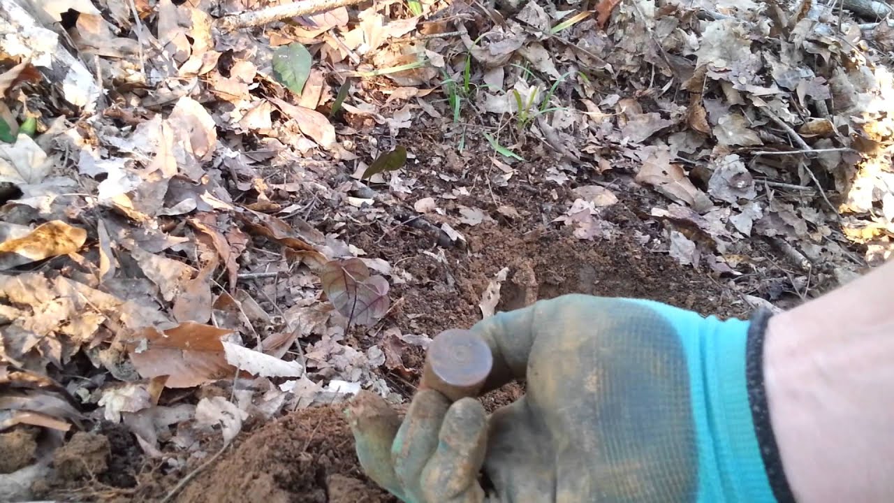 Metal Detecting an Old Schoolyard, Fields and Woods YouTube