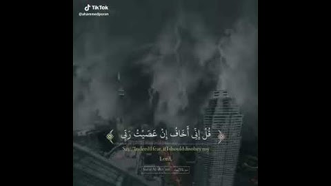 سورة الانعام من الآية {14} إلى الآية {16}