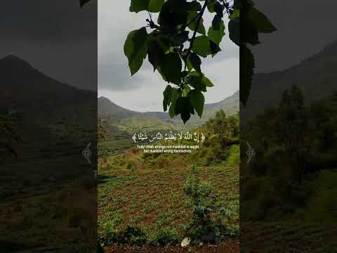 أفأنت تهدي العمي ولو كانوا لا يبصرون سورة يونس القارئ عبدالرحمن مسعد