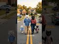 Yellow Cat Walks In And White & Black Cats Start Laughing 😹 | #cat #ai #catvideos #cute #shorts