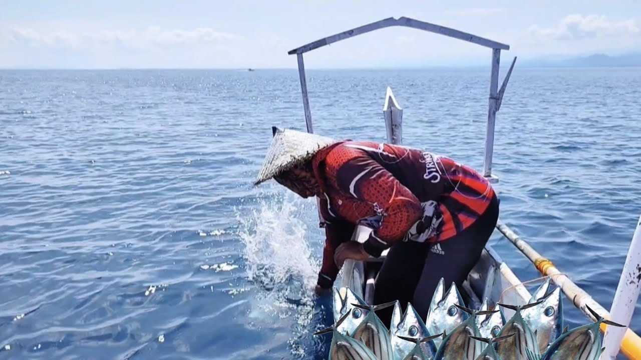 mancing cakalang besar. pelampungnya sampai tenggelam lama