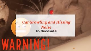 Angry Cat Growling And Hissing Noises For Sound Effects