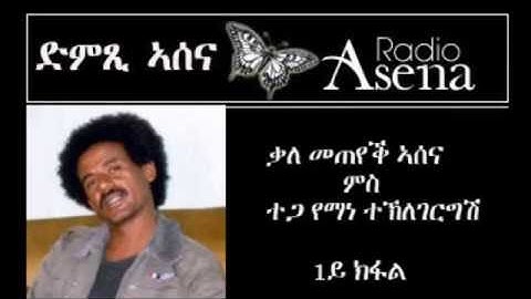 Assenna:Intv with Mr Yemane T/Gegergish, Fmr Member of EPLF
