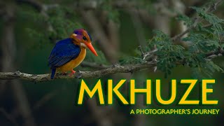 Mkhuze : A Photographer's Journey