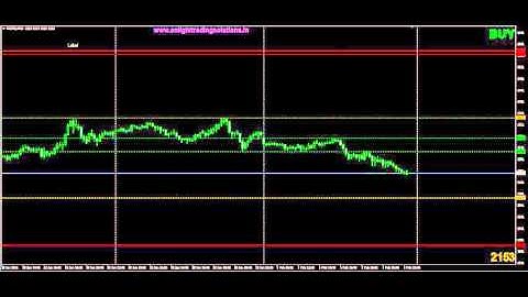 DYNAMIC LEVELS SOFTWARE