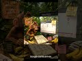 Monkey SEO Series- Part 1