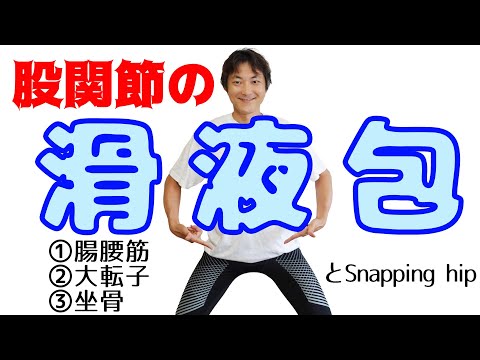 滑液包とフィジカル、そしてSnapping hip症候群とは？：股関節(Part.3)