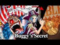 Japanese Translator Reveals Buggy’s True Identity