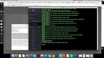 Edge router Part2: Basic OSPF command