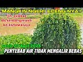 Tangul nya‼️ tidak ada gimana ini binung buang lumpur nya!! 