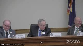 Joint Minerals, Business & Economic Development Interim Topics Meeting, March 6, 2024