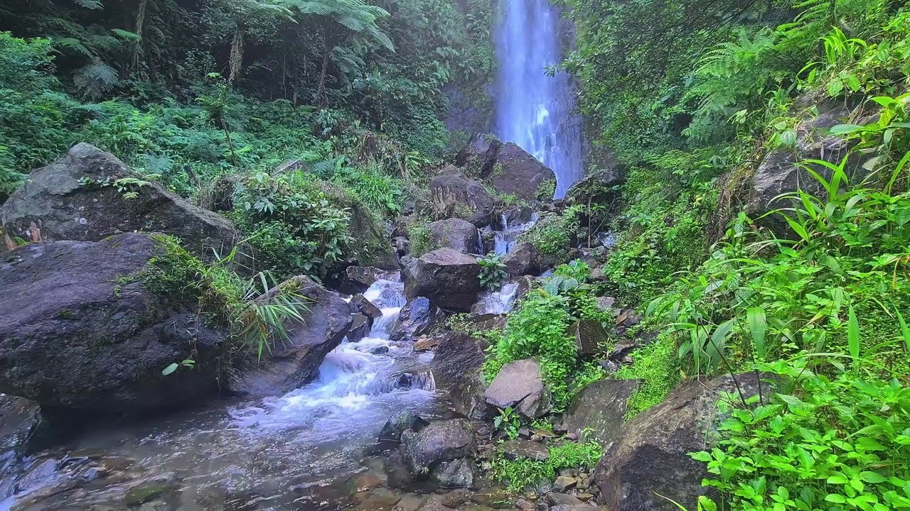 Flowing River Audio | Soothing Nature Sound to Sleep and Breathe Easy