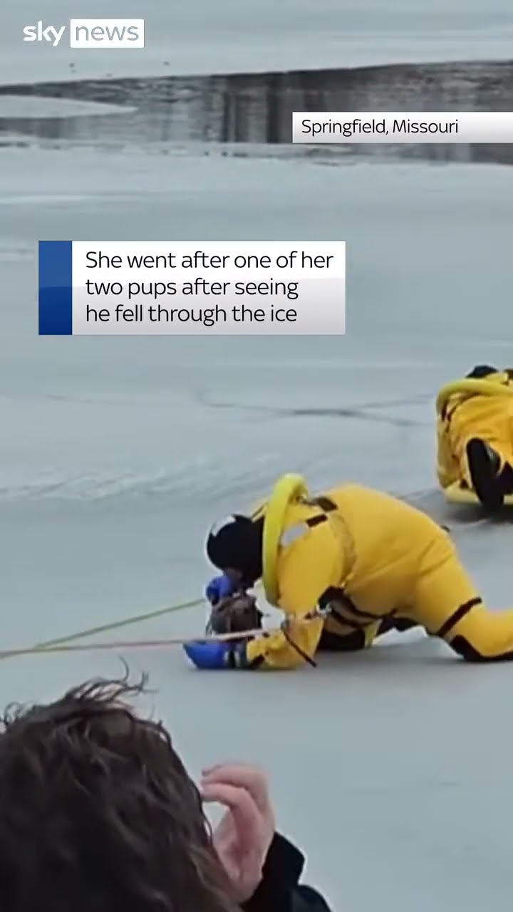 Dog and woman rescued from frozen pond