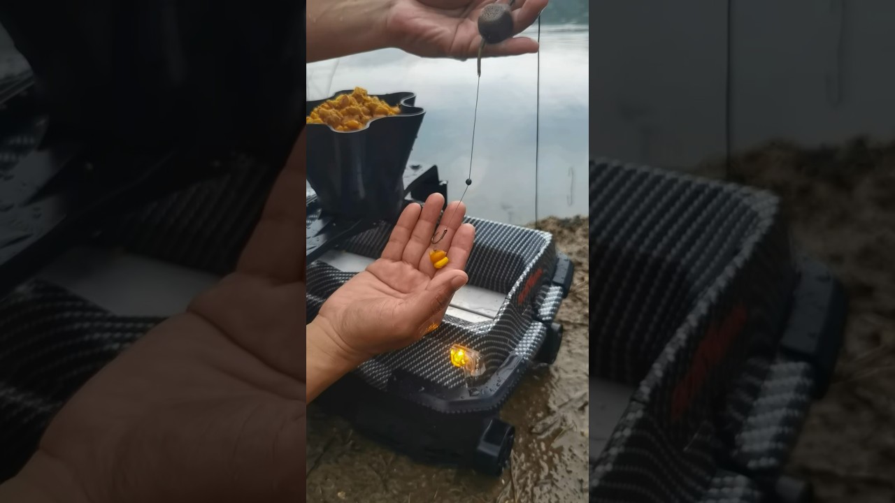 My new fishing equipment. 