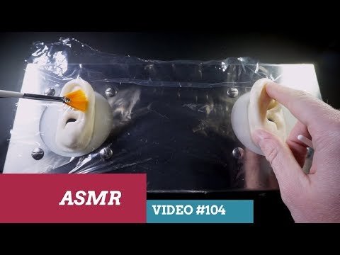 Absolutely The Best ASMR Video Of Ears Inside The Bag (High Binaural Tingles)
