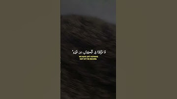 القارئ: طارق محمد 🍃  أرح سمعك 🥀حالات واتس آب ♻️https://t.me/halat1000 #فُآئدُة #الخير #خَيْرُ_أُمَة