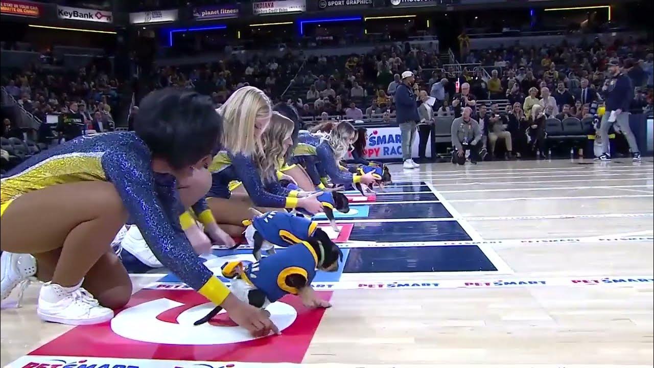 The ADORABLE Puppy Race organised by the Indiana Pacers! 🐶 🥰 YouTube