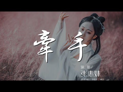 牽手 - 張惠妹『牽手 牽手 奇怪的廢話少說』【動態歌詞Lyrics】
