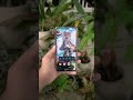 CUSTOM ROM ENAK BUAT POCO F3! Evolution X Android 16  #alioth #pocof3