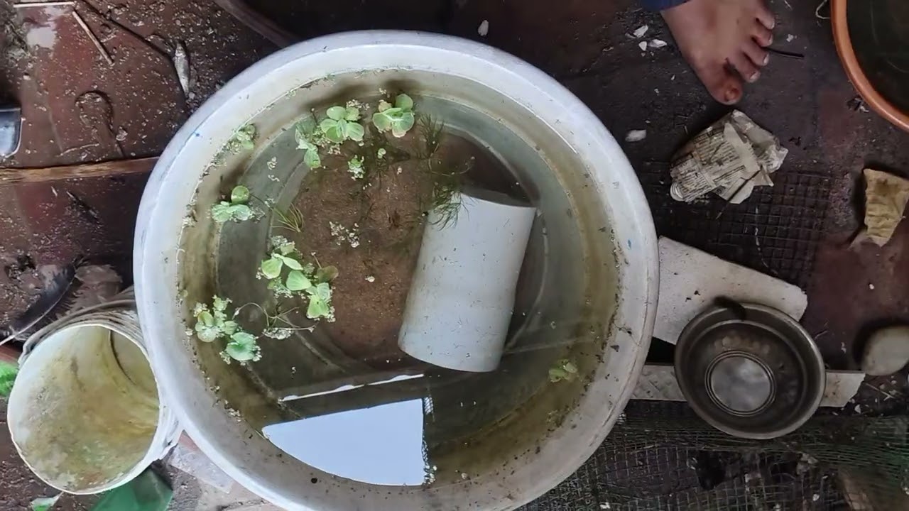 Guys please wait and watch 👍