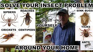 How To Stop Your Insect Problem In And Around Your Home The Year Round.