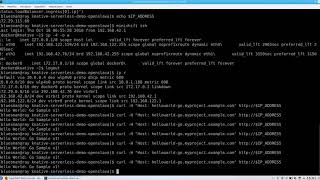 Serverless with OpenShift and Knative live demo at Openslava 2018