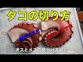 タコの切り方　夏の半夏生、カルパッチョなど、お刺身やサラダに食べやすい切り方教えます。