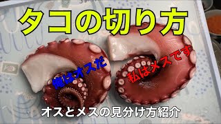 タコの切り方　夏の半夏生、カルパッチョなど、お刺身やサラダに食べやすい切り方教えます。