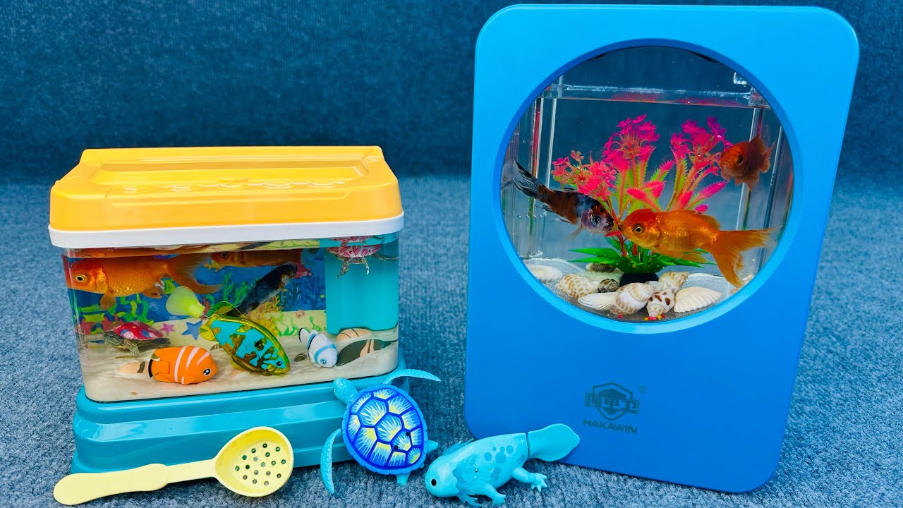 Satisfied unboxing, happy aquarium, live fish, robot fish, magnetic fish, fishing toy set ASMR
