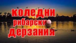:    |   
