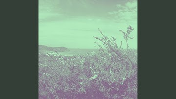 Incredible Rejuvenating Experiences