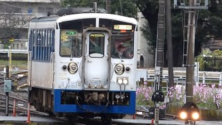 JR四国　キハ32形　0系新幹線風　鉄道ホビートレイン 貫通車　宇和島駅　入線