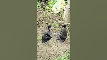 ichhadhari #naag #nagin.milan #shorts video