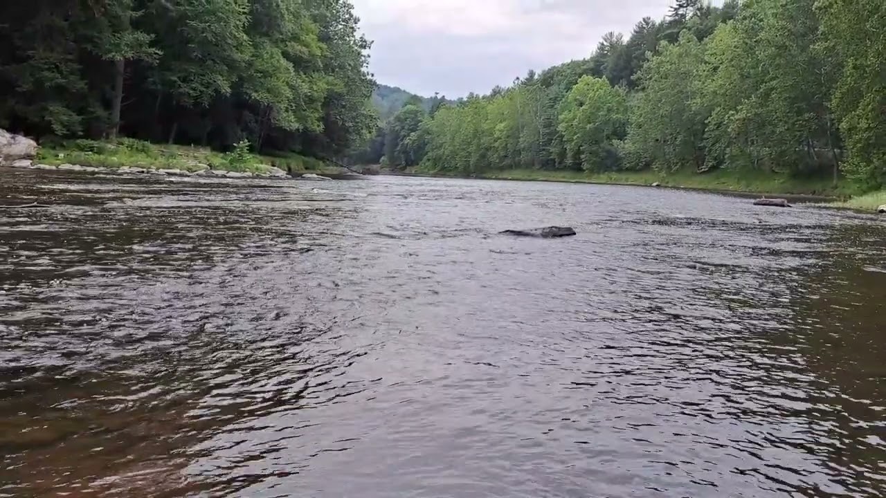 Druid Magic - The River