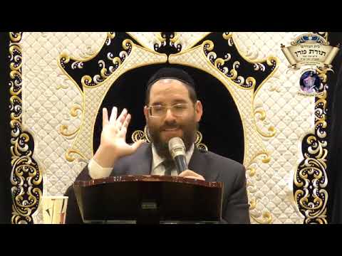 שאלות מקו ההלכה - קניות, בשר מתורבת,  כביסה, ורחיצה בט' הימים - הרב שמעון ללוש