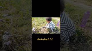 Learning to Plant Tree