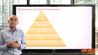 Vantage Strategy: Developing High Performing Teams