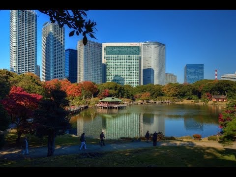 The Autumn Leaves Koyo In Hamarikyu Gardens 浜離宮庭園の紅葉 Christinayan Youtube The Autumn Leaves Koyo In Hamarikyu Gardens 浜離宮庭園の紅葉 Christinayan Youtube