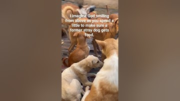 Help me continue my mission every bit counts! Donate via our PayPal link  in our bio#viral