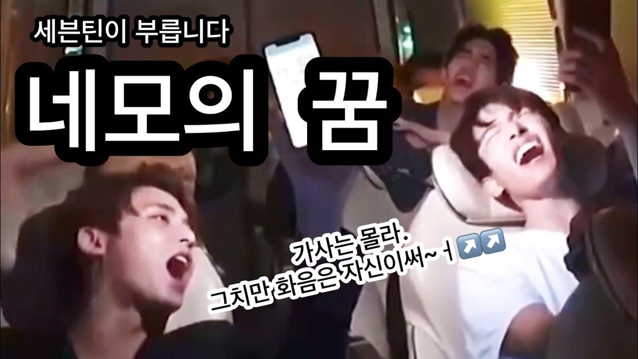 [세븐틴] 이쯤되면 얘네는 네모신을 모시는게아닐까 싶은 세븐틴의 2014~2021 네모의 꿈