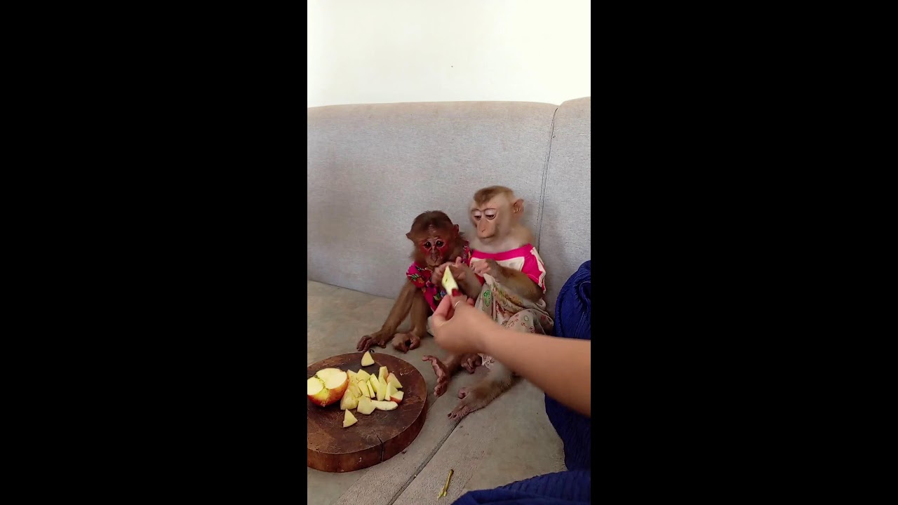 Mom cut fruit for baby Bray-an and Icy eating 