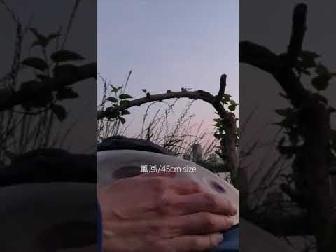 ☘️薫風/G Melog