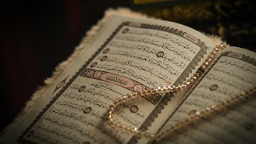 سورة الأحقاف للشيخ سعد الغامدي. Surah Al-Ahqaf - Saad Al-Ghamdi