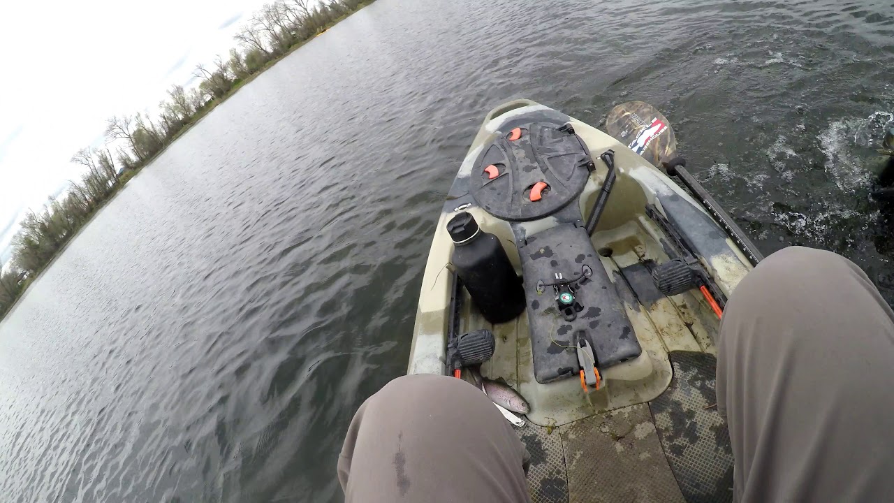 Big Aggressive Bass on topwater YouTube