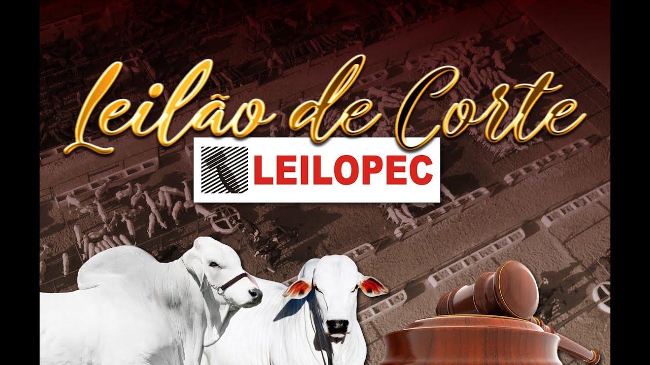 CANAL LEILÕES | LEILOPEC UBERABA - MG (05/10/2025)