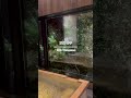 《湯の山温泉 旅館寿亭》 貸切露天風呂 渓声閣 鶴亀 #貸切温泉 #貸切露天風呂 #温泉 #旅館 #三重県 #観光 #旅行 #日帰り温泉 #露天風呂 #onsen #ryokan #mie