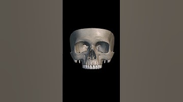 3D animation of cranial base bone #anatomy #3danimation #3danatomy #bone #cranialbase