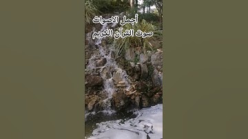 قران كريم بصوت جميل للشيخ اسلام صبحي#المصحف سوره النازعات ❤️💐🌺🌷راحة_نفسية #المصحف #تصويري#ا🌷